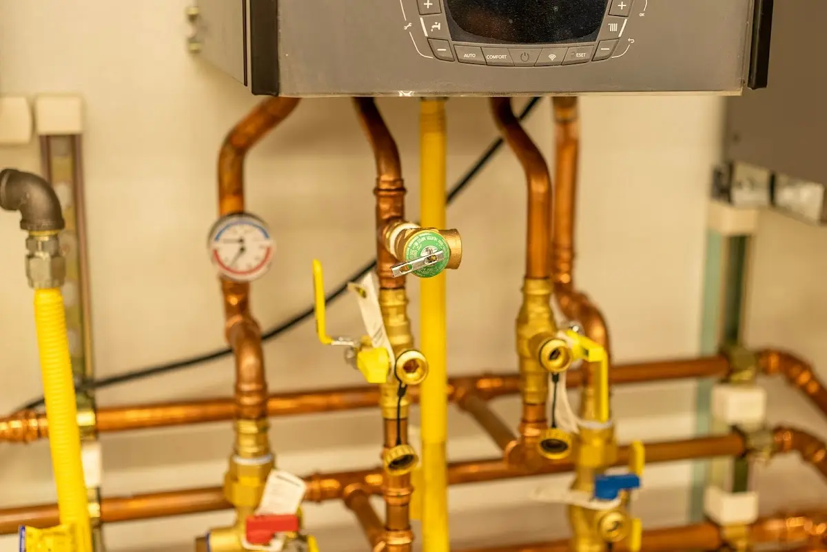 Licensed technician providing Sump Pump Repair for a homeowner in Janesville